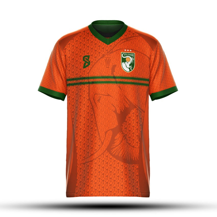 Côte d'Ivoire- Edition Can 2025